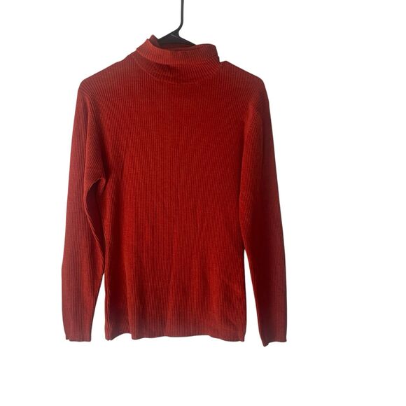 Banana Republic Sweaters - Banana Republic Medium Rust Orange 100% Merino Wool Ribbed Turtle Neck Sweater